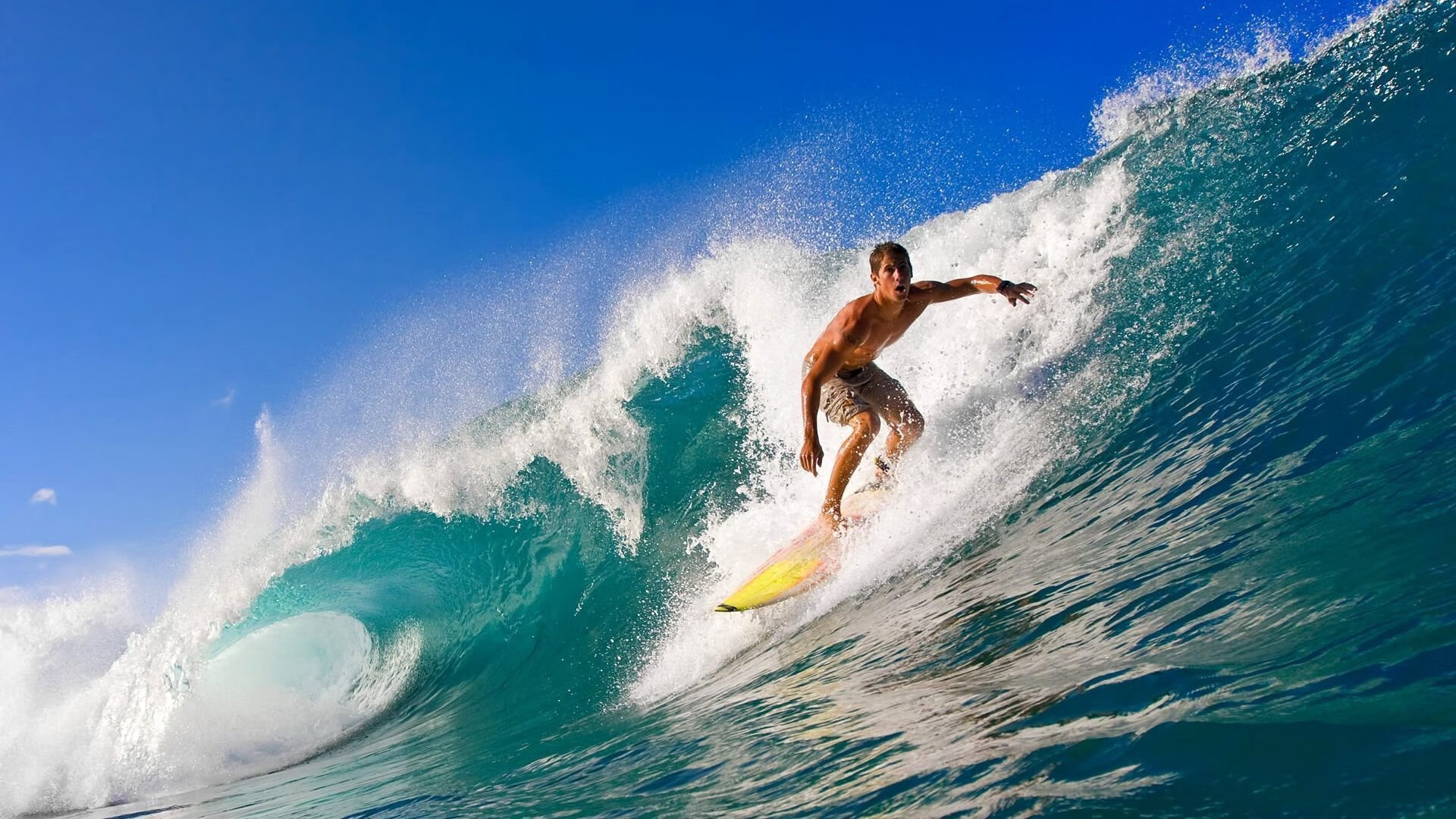 IM体育官方平台-改写历史，范戴克头槌定江山 巴萨雨夜力破德国铁壁